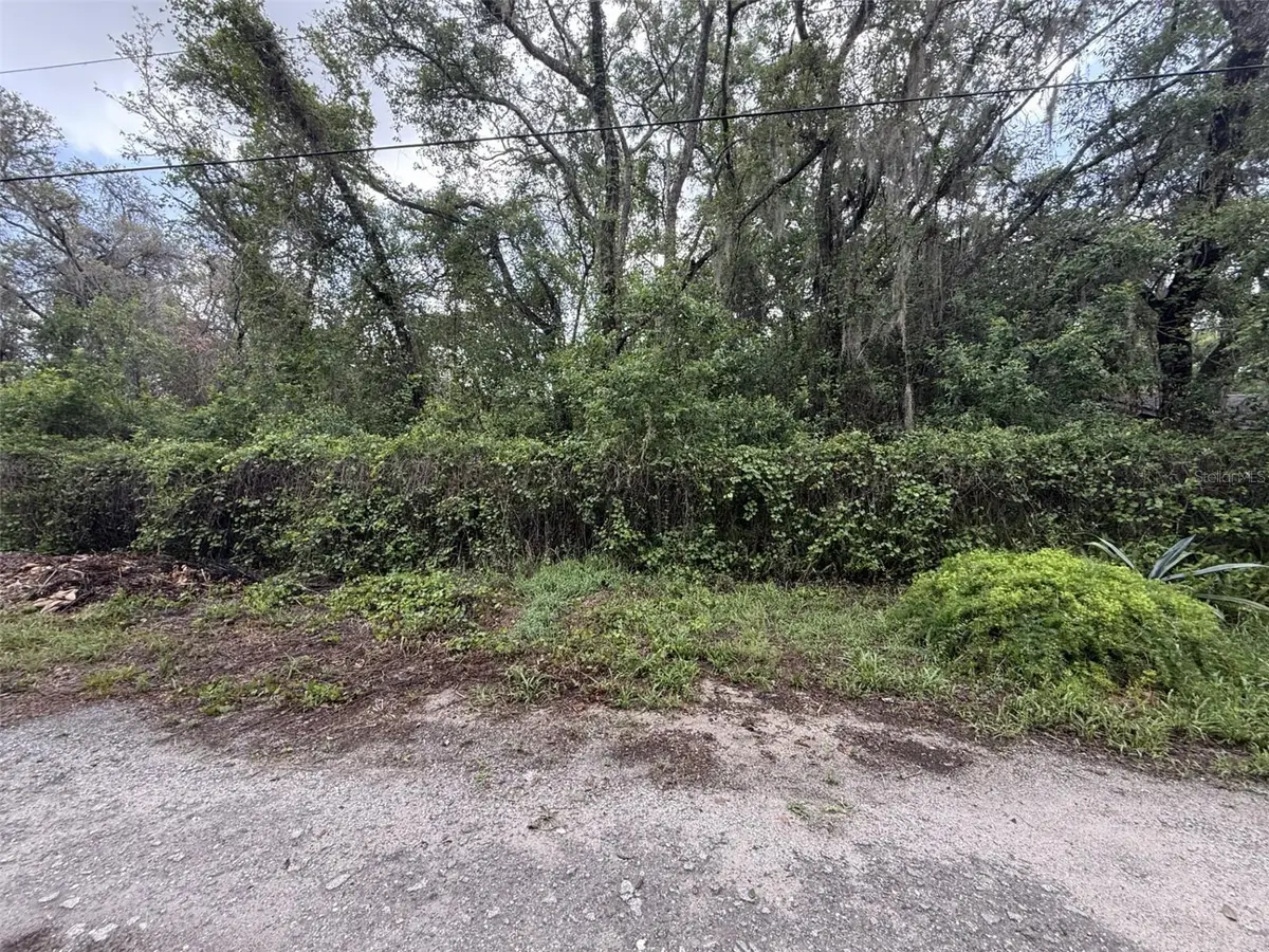 10934 Leon Street, New Port Richey, FL 34654 - #1