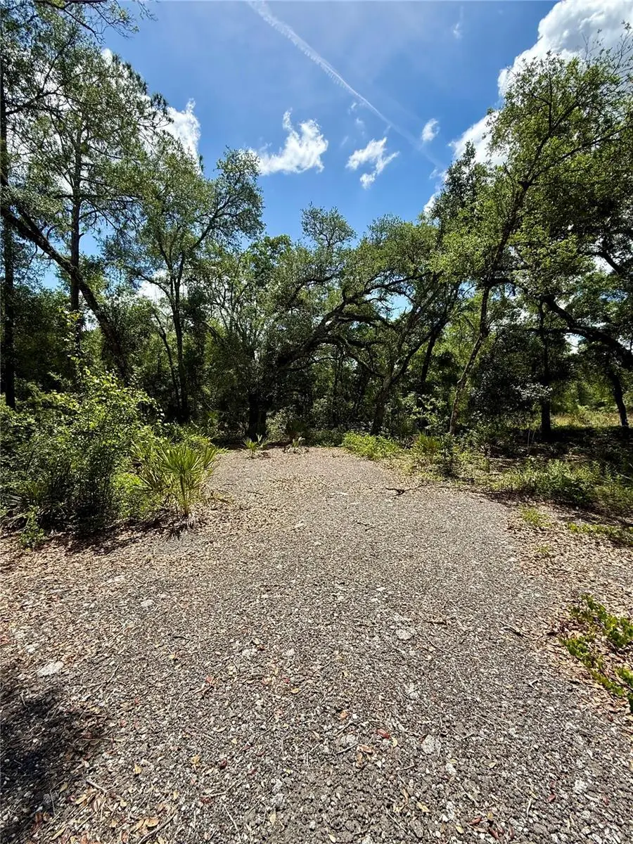 Long Circle, Webster, FL 33597 - #3