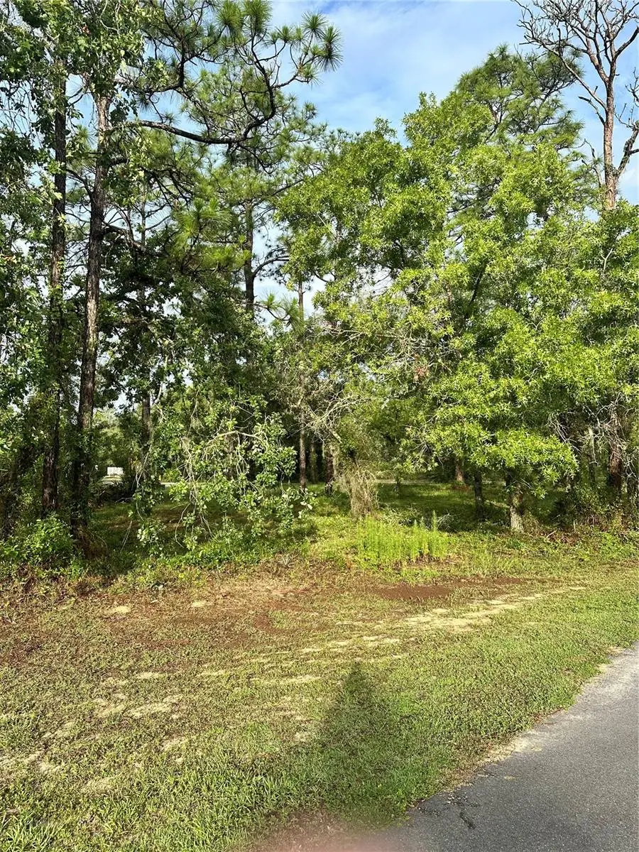 2 Barkwood Point, Homosassa, FL 34446 - #1