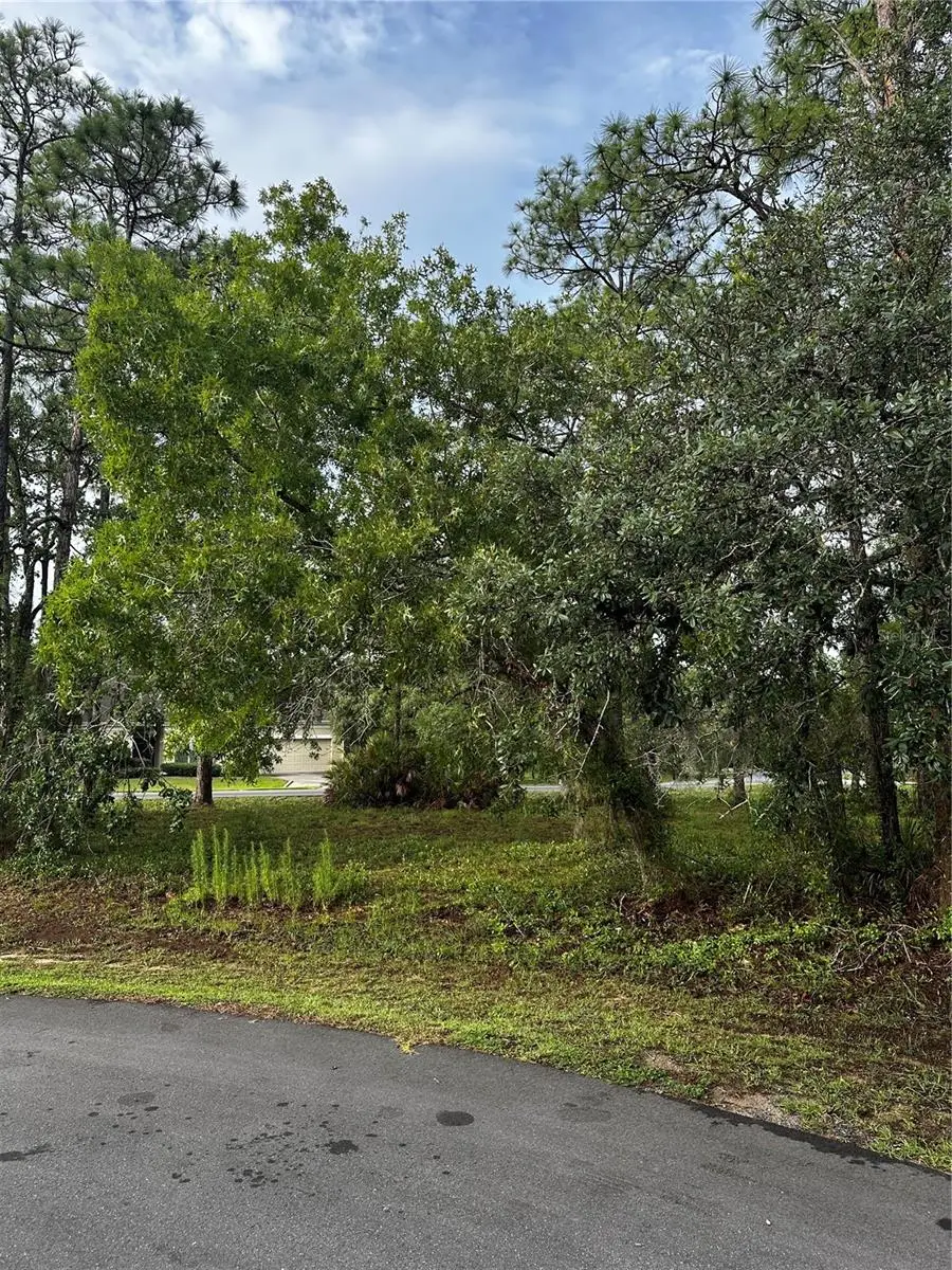 2 Barkwood Point, Homosassa, FL 34446 - #3