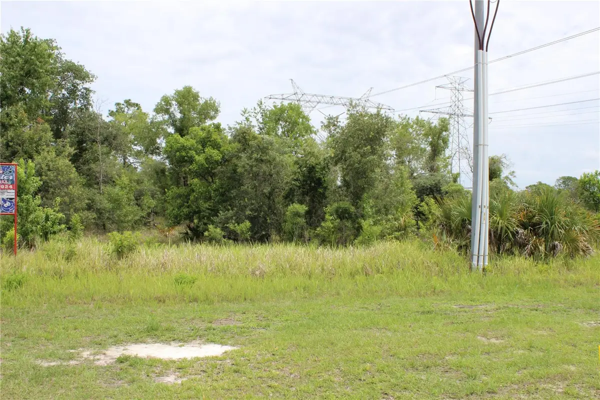Salome Street, Brooksville, FL 34614 - #1