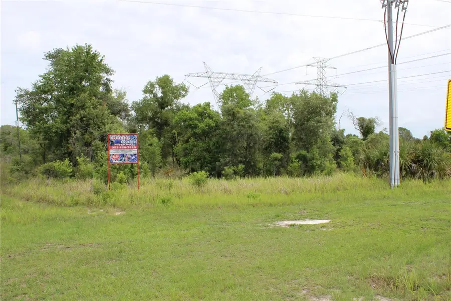 Salome Street, Brooksville, FL 34614 - #2