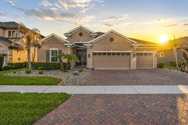 8142 Water Color Drive, LAND O LAKES, FL 34638