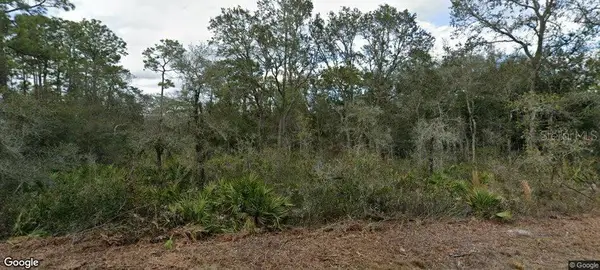 35023 Primrose Lane, WEBSTER, FL 33597