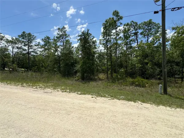 0 Scaup Duck Avenue, WEEKI WACHEE, FL 34614