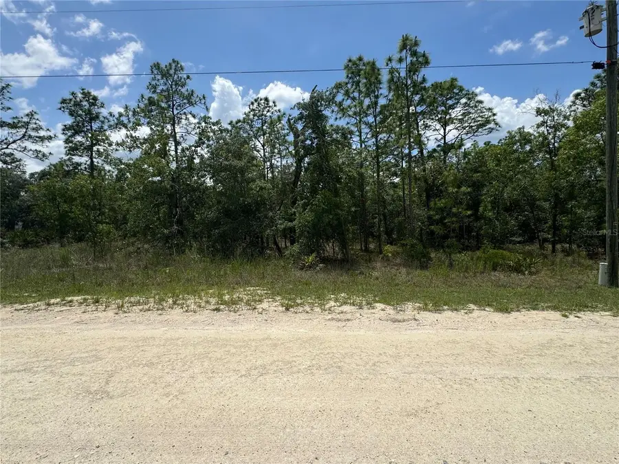 0 Scaup Duck Avenue, Weeki Wachee, FL 34614 - #2