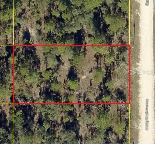 0 Scaup Duck Avenue, Weeki Wachee, FL 34614 - #3