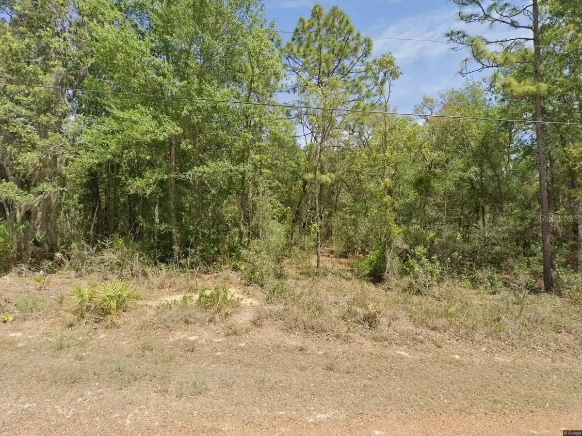 6575 W Pershing Drive, Homosassa, FL 34448 - #1