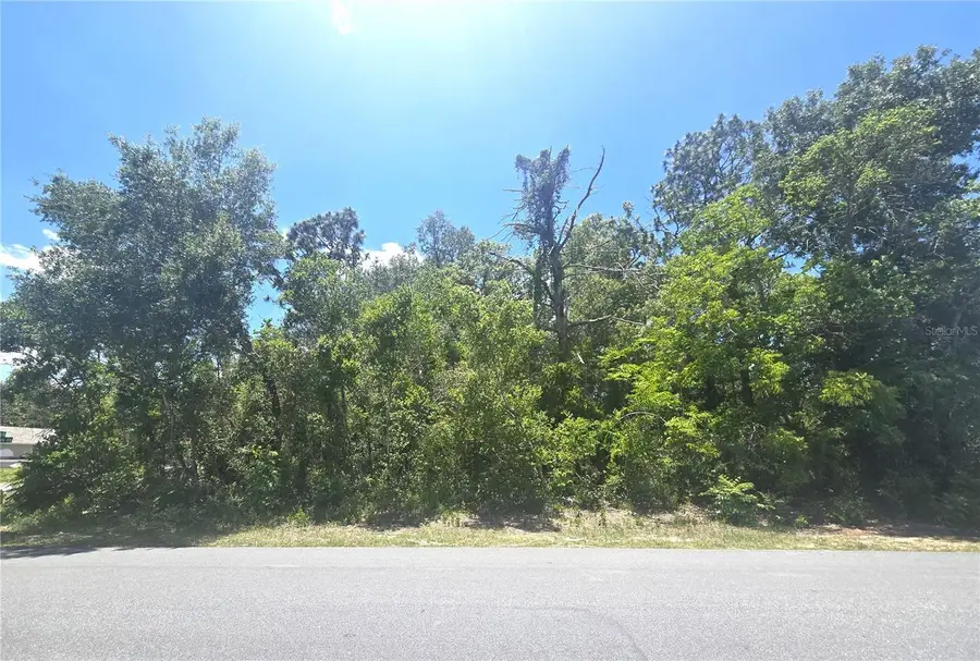 Dunkirk Road, Spring Hill, FL 34608 - #3