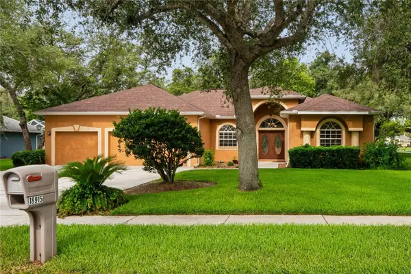 18915 Bascomb Lane, HUDSON, FL 34667