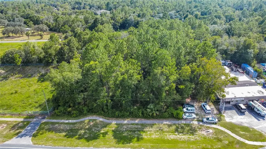 4176 W Gulf To Lake Highway, Lecanto, FL 34461 - #3