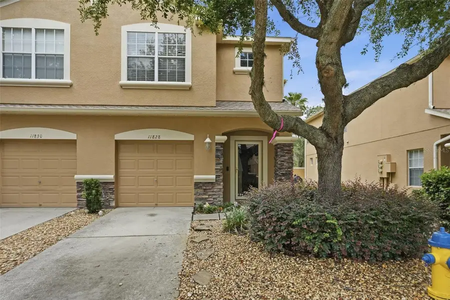 11828 Castine Street, New Port Richey, FL 34654 - #2