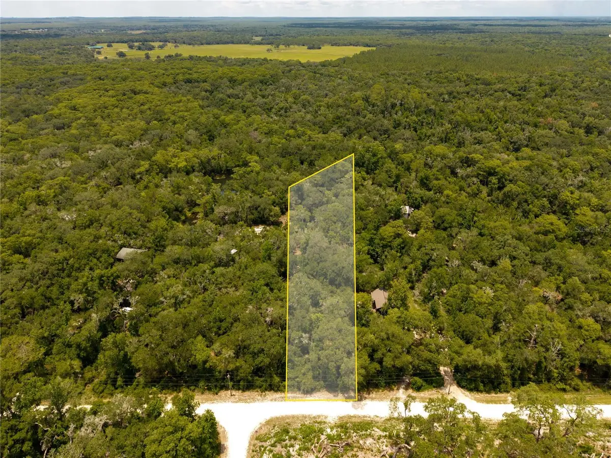 7337 Riverview Drive, Webster, FL 33597 - #1