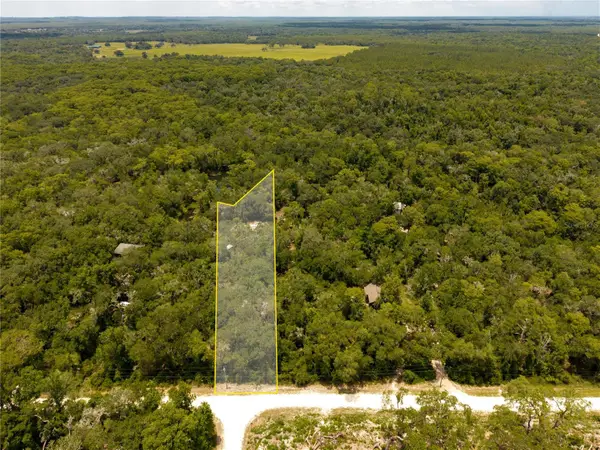 7333 Riverview Drive, WEBSTER, FL 33597