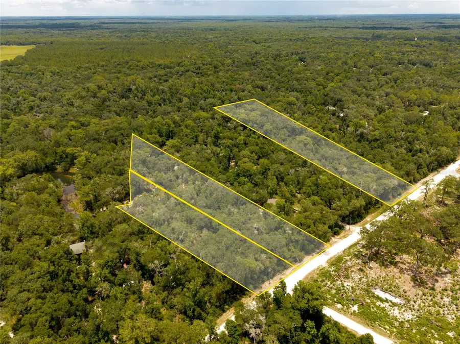 7333 Riverview Drive, Webster, FL 33597 - #2