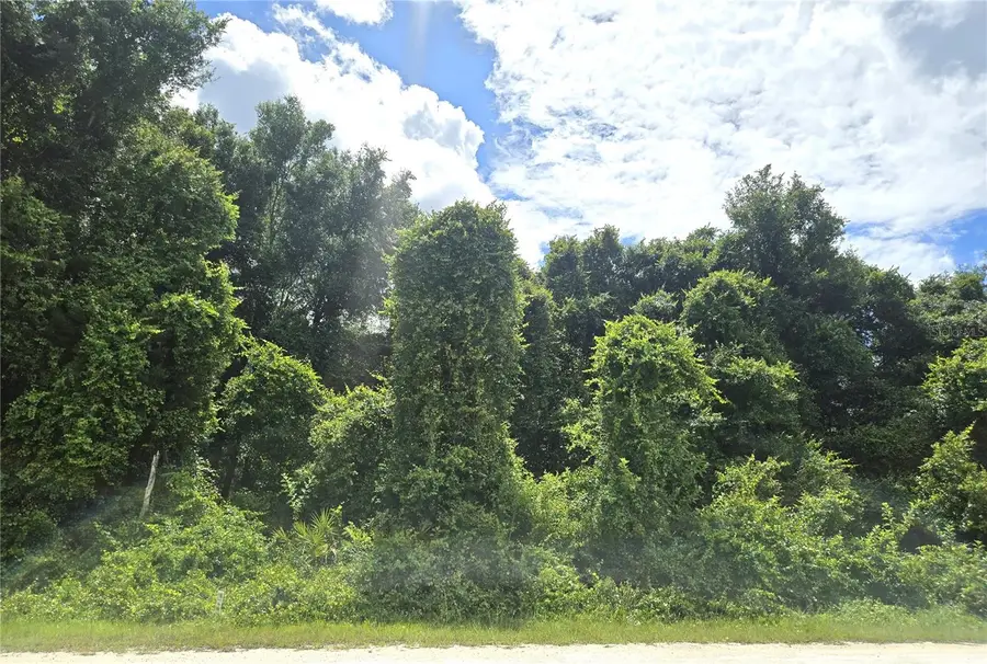 Alloy Street, Webster, FL 33597 - #2