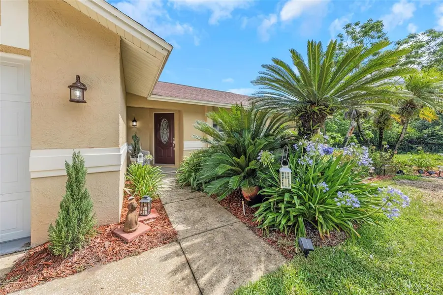 2437 Hawk Avenue, Palm Harbor, FL 34683 - #2