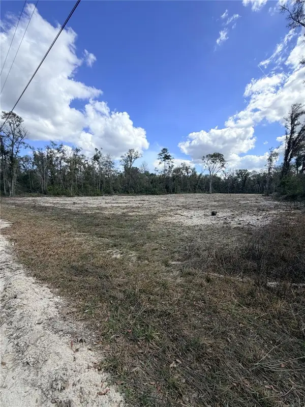 163 NE 159th Avenue, OLD TOWN, FL 32680