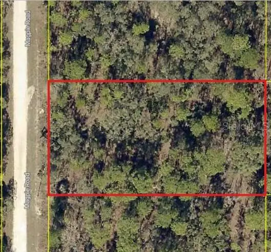 16026 Magpie Road, Weeki Wachee, FL 34614 - #1