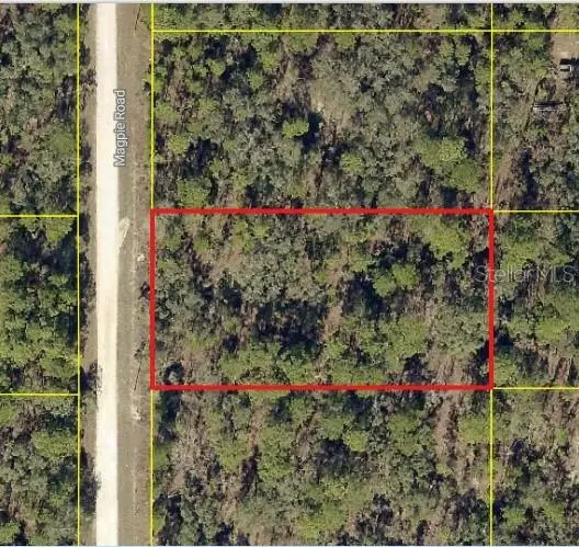 16026 Magpie Road, Weeki Wachee, FL 34614 - #2