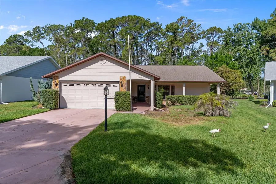 6300 Darien Way, Spring Hill, FL 34606 - #3