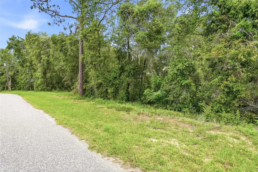 7002 N Castlebury, Hernando, FL 34442 - #2
