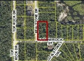 9028 Realstone Drive, Webster, FL 33597 - #1