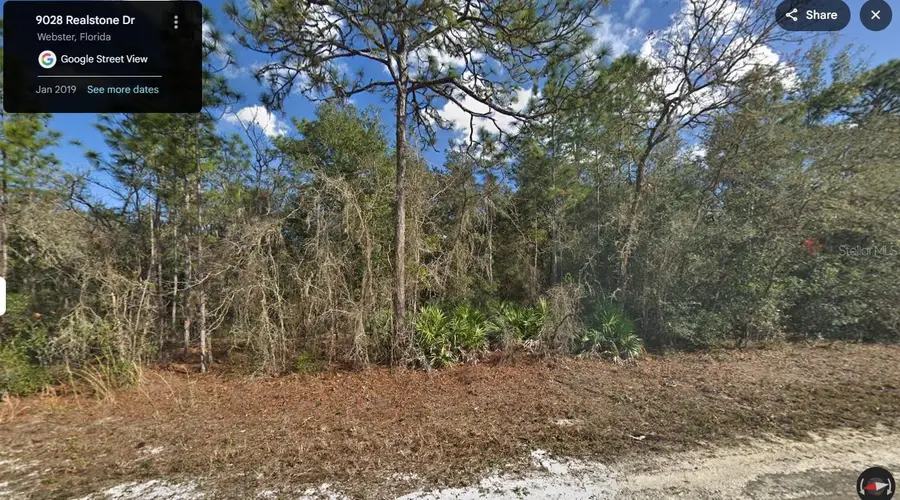 9028 Realstone Drive, Webster, FL 33597 - #2
