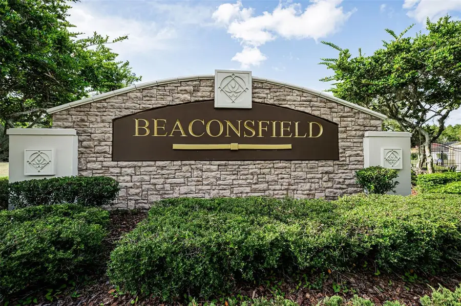 1629 Salmonberry Street, Wesley Chapel, FL 33543 - #2