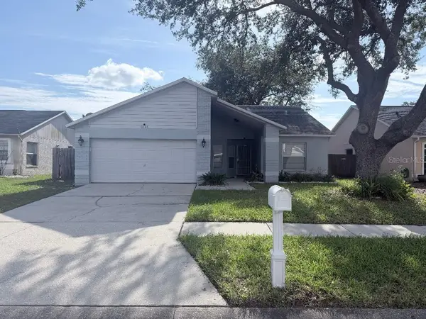 13436 Silvercreek Drive, RIVERVIEW, FL 33579