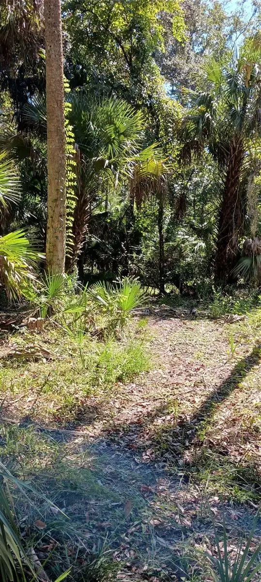 9302 W Tall Pines Court, Crystal River, FL 34428 - #3