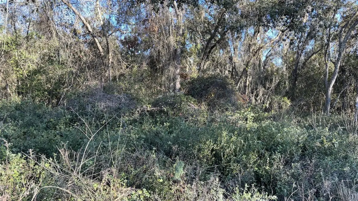 0 Bounty/barrett, New Port Richey, FL 34654 - #1