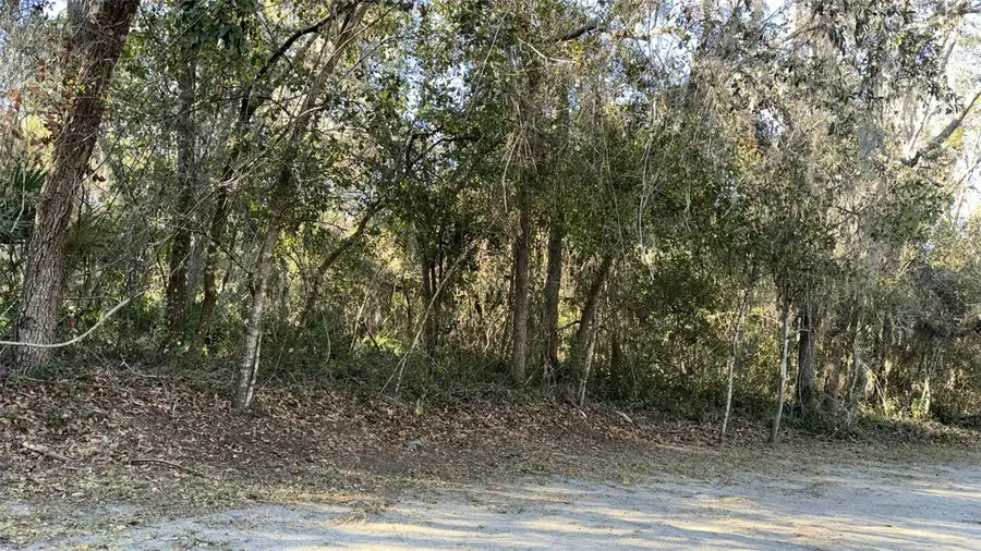 0 Bounty/barrett, New Port Richey, FL 34654 - #3