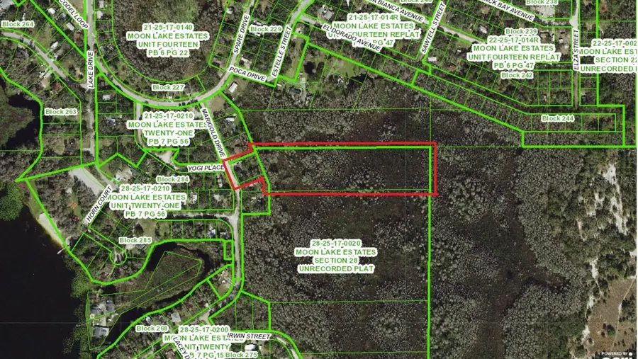 8944 Marigold Drive, New Port Richey, FL 34654 - #2