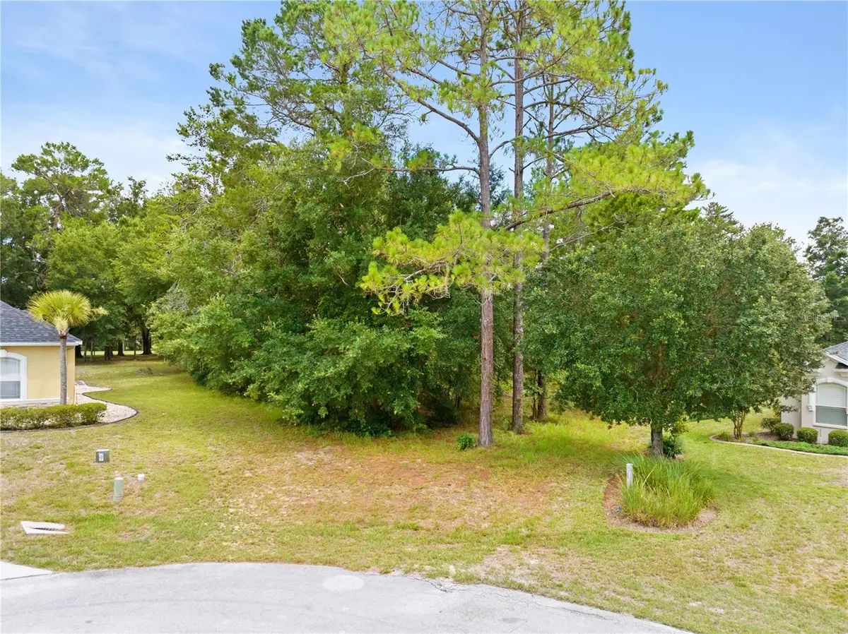 17 Woodlee Court S, Homosassa, FL 34446 - #1