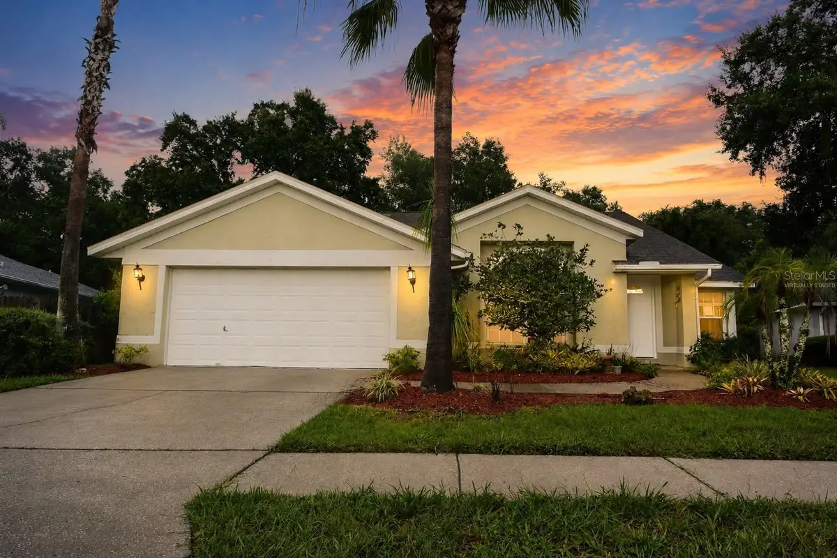 24449 Painter Drive, Land O Lakes, FL 34639 - #1