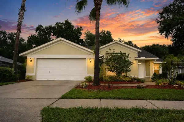 24449 Painter Drive, LAND O LAKES, FL 34639