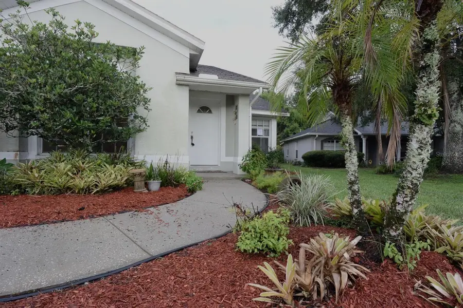 24449 Painter Drive, Land O Lakes, FL 34639 - #2