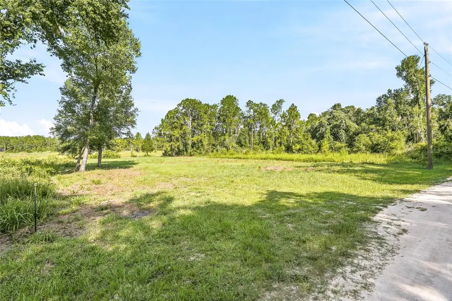 100 Berryhill Drive, Webster, FL 33597 - #3
