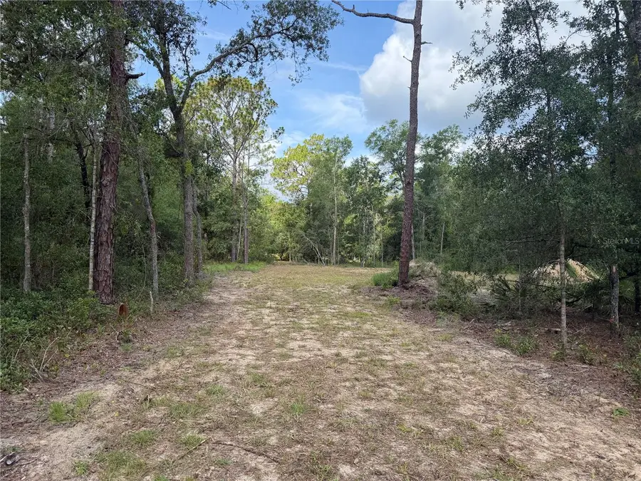 0 Idlewood Drive, Webster, FL 33597 - #2