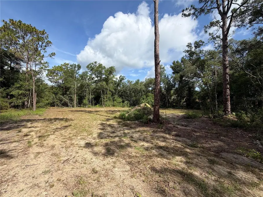 0 Idlewood Drive, Webster, FL 33597 - #3