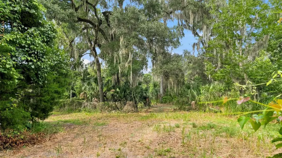 0 Cedar Lane, Brooksville, FL 34601 - #3