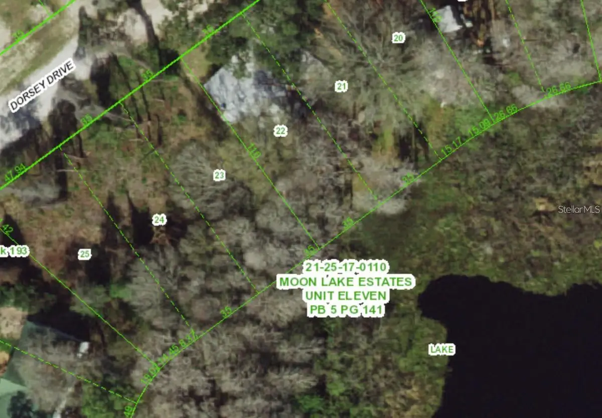 12350 Dorsey Drive, New Port Richey, FL 34654 - #1