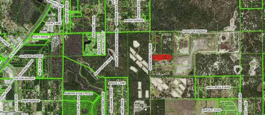 0 Gopher Hills Ln, Hudson, FL 34667 - #2