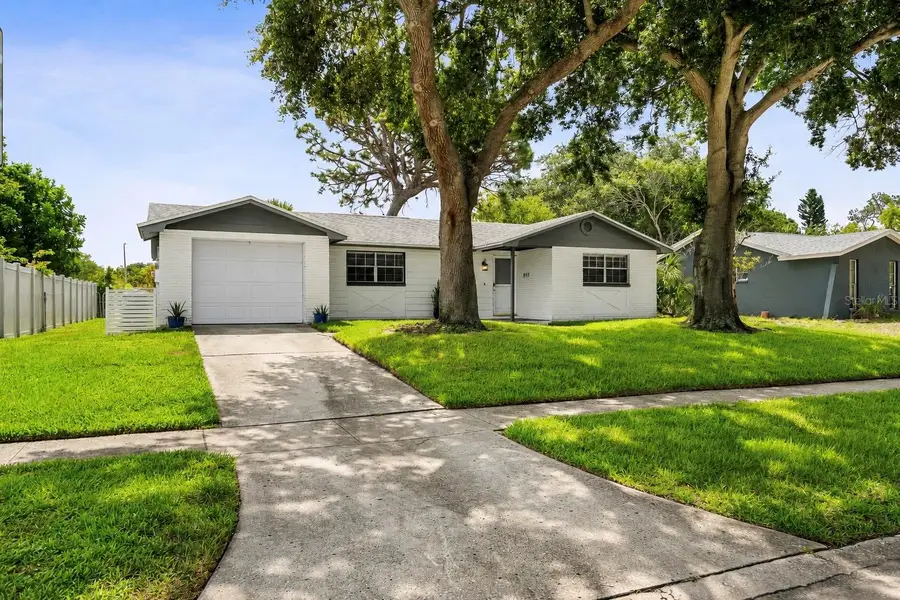 919 Peninsula Road, Tarpon Springs, FL 34689 - #3