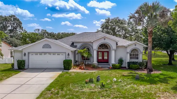 8206 Pinehurst Drive, SPRING HILL, FL 34606