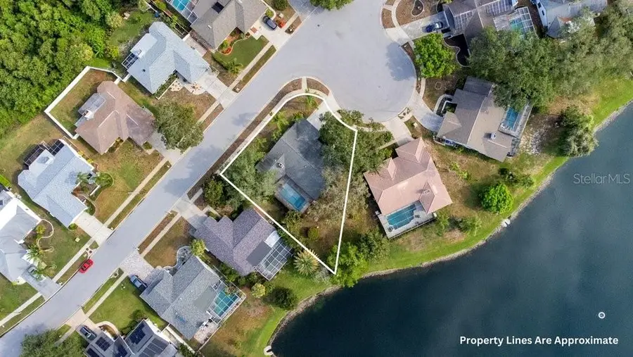 2828 Woodrose Court, Holiday, FL 34691 - #3