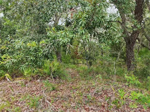 18364 Parakeet Road #Lot 25, BROOKSVILLE, FL 34614