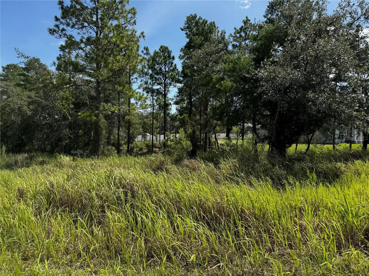 Lot 14 Barnevelde Road, Weeki Wachee, FL 34614 - #1