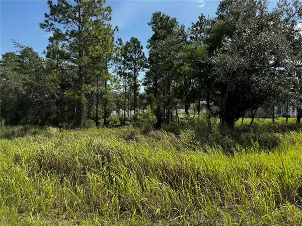 Lot 14 Barnevelde Road, WEEKI WACHEE, FL 34614